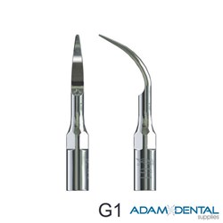 Woodpecker Scaler Tips Scaling G1