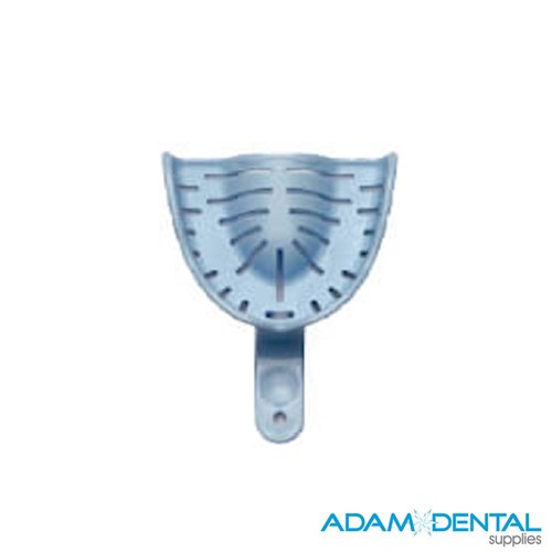 Dentate Upper Medium