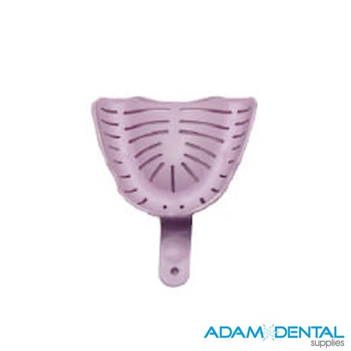 Edentulous Upper Large