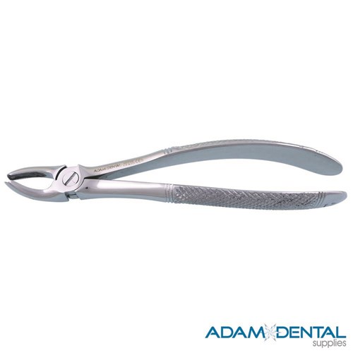 Upper Molars Right Side