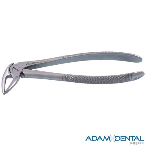 Lower Roots & Incisors