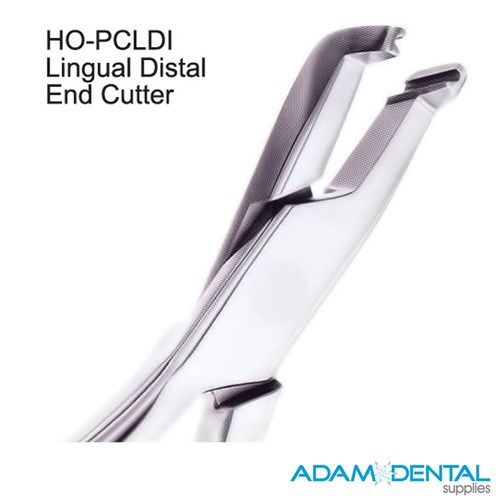 Lingual Distal End