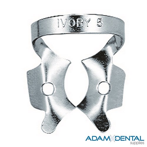 Molar Winged 5 Large Upper