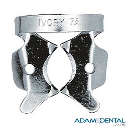 Molar Winged 7A Large Lower