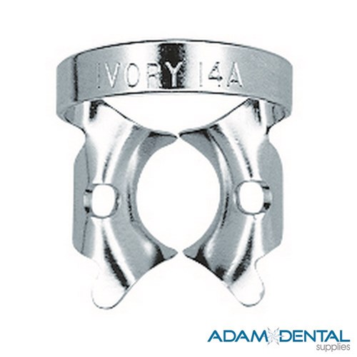 Molar Winged 14A Large Partially Erupted