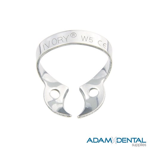 Molar Wingless W5 Large Upper