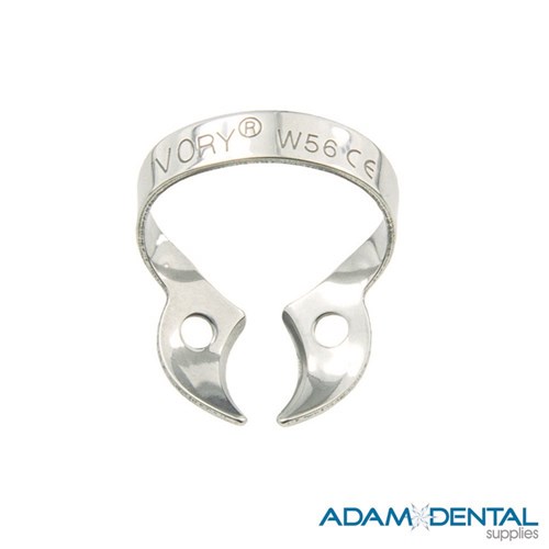 Molar Wingless W56 Large Molar
