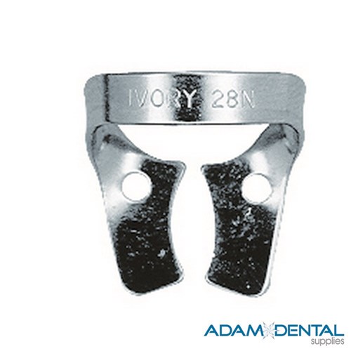 Molar Wingless 28N General Purpose Lower Molar