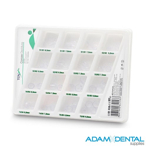 Anterior and Posterior Deciduous Teeth