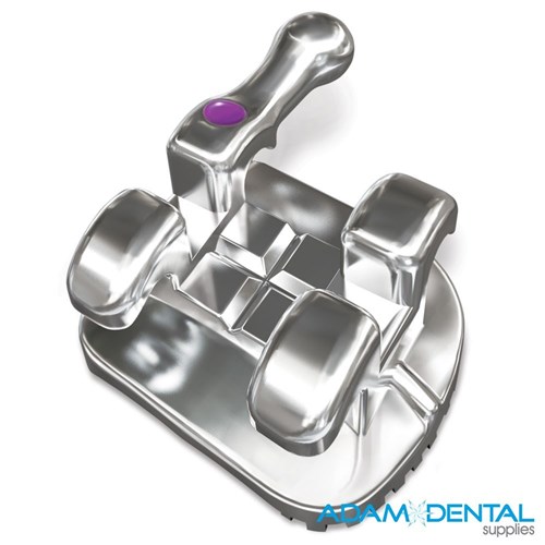 Mandibular 2nd Bicuspid with Hook Left