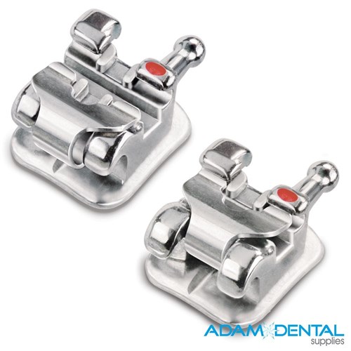 Mandibular Bicuspid with Hook Left