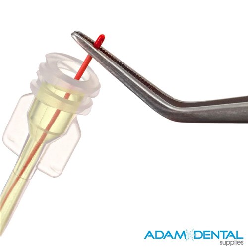 EndoREZ Accelerator 20 vial kit